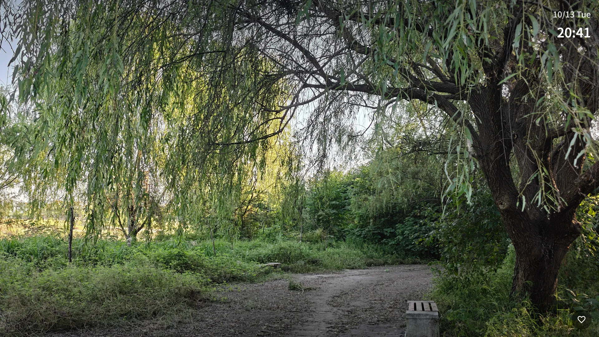 Modalità presentazione ambientale 1080P a schermo intero